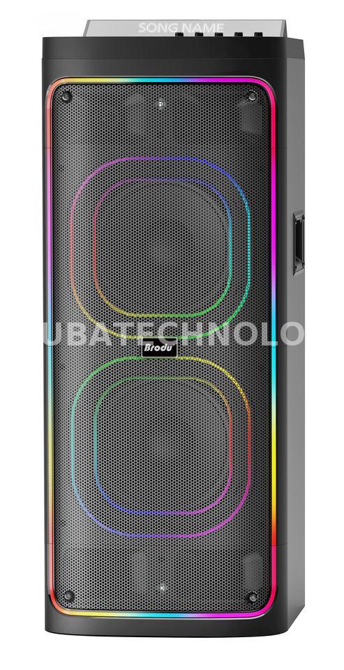 Enceinte portable karaoké Bts-2242 avec lumière Rgb